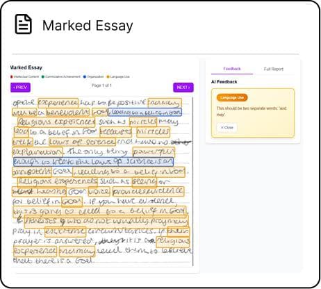 Marked Essay